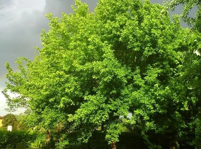 Mo Va La B&B 부드리오