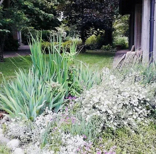 B&B Mo Va La 부드리오