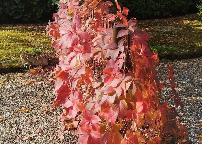 B&B Mo Va La 부드리오