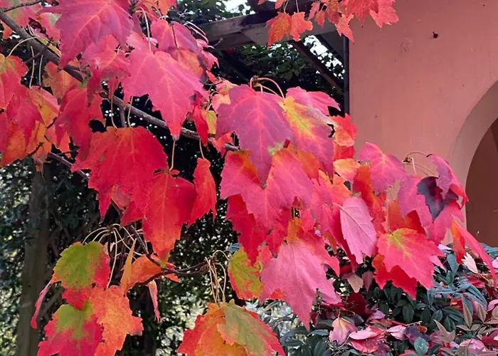 Mo Va La 3* 부드리오