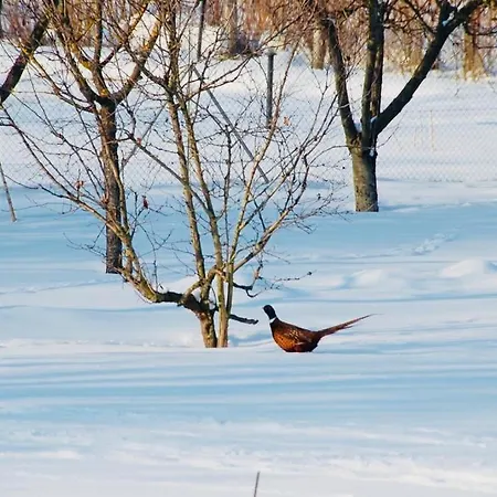 Bed and Breakfast Mo Va La