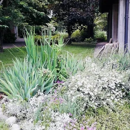 Bed and Breakfast Mo Va La Budrio (Bologna)