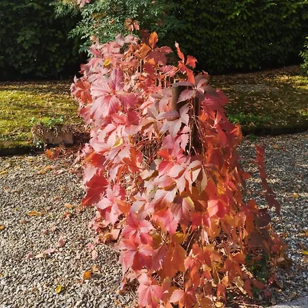 Bed and Breakfast Mo Va La Budrio (Bologna)