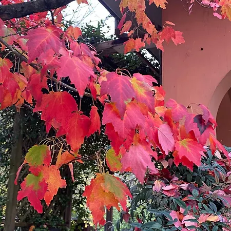 Mo Va La 3* Budrio (Bologna)