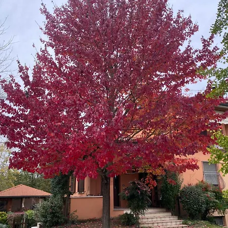 Mo Va La Oda ve Kahvaltı