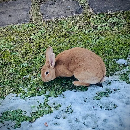 Mo Va La Bed & Breakfast 3*