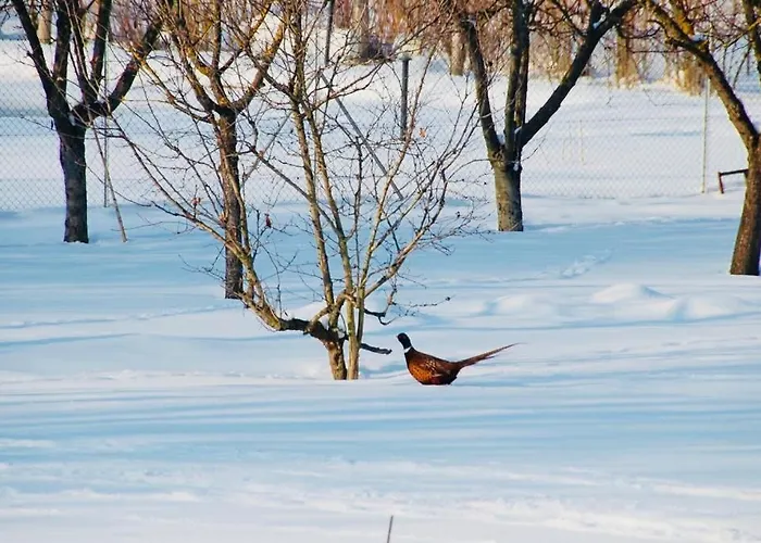 Oda ve Kahvaltı Mo Va La