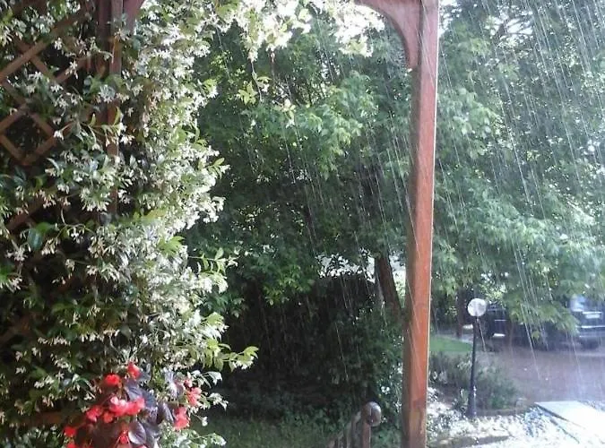 Mo Va La Oda ve Kahvaltı Budrio (Bologna)