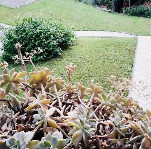 Oda ve Kahvaltı Mo Va La Budrio (Bologna)