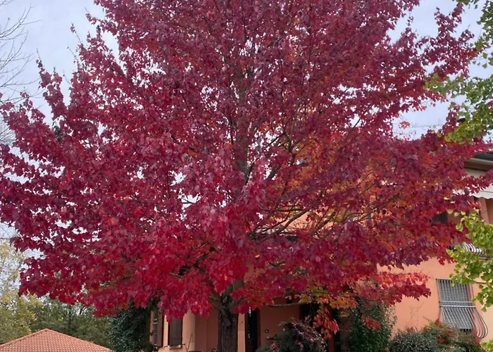 Mo Va La Oda ve Kahvaltı