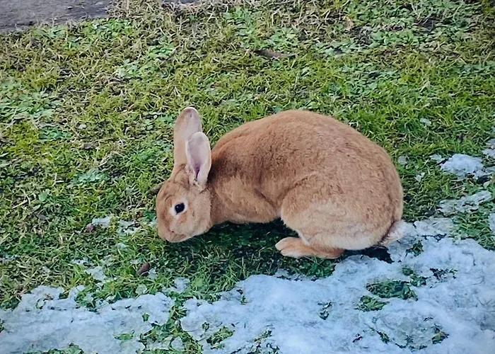 Mo Va La Oda ve Kahvaltı 3*